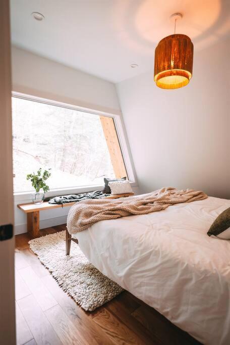 Dunlap Hollow A-Frame Rockbridge Экстерьер фото