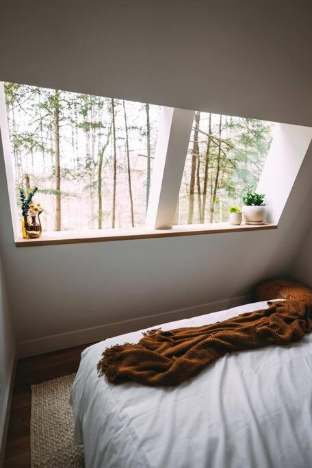 Dunlap Hollow A-Frame Rockbridge Экстерьер фото