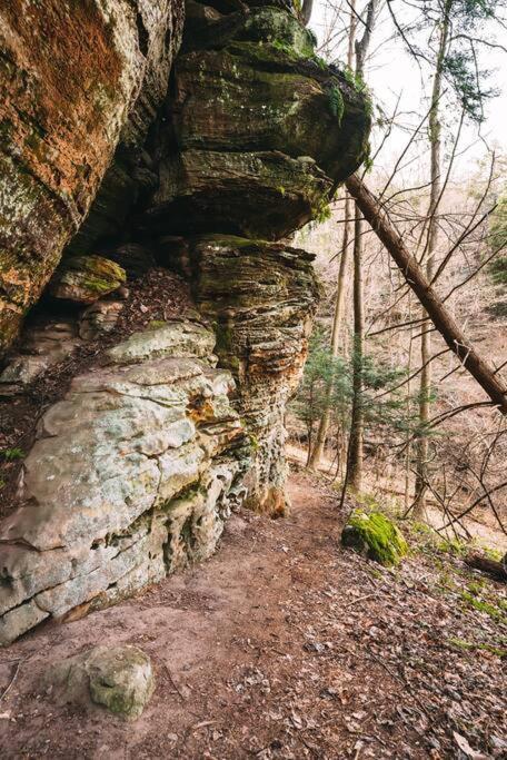 Dunlap Hollow A-Frame Rockbridge Экстерьер фото