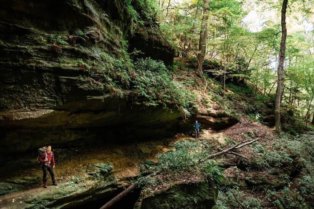 Dunlap Hollow A-Frame Rockbridge Экстерьер фото