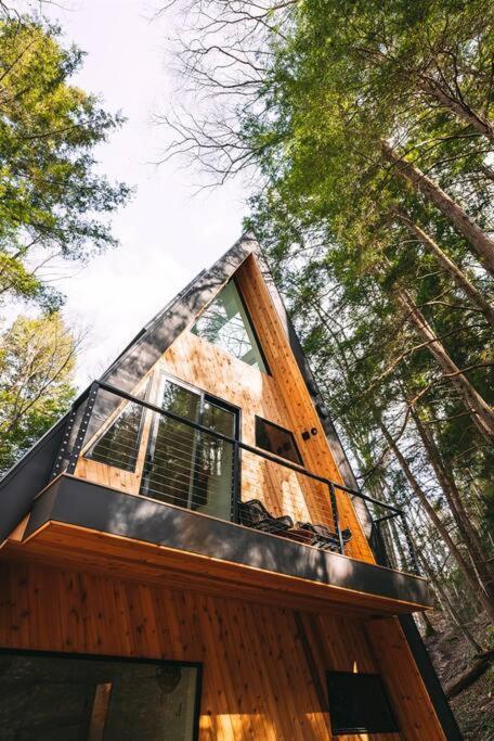 Dunlap Hollow A-Frame Rockbridge Экстерьер фото
