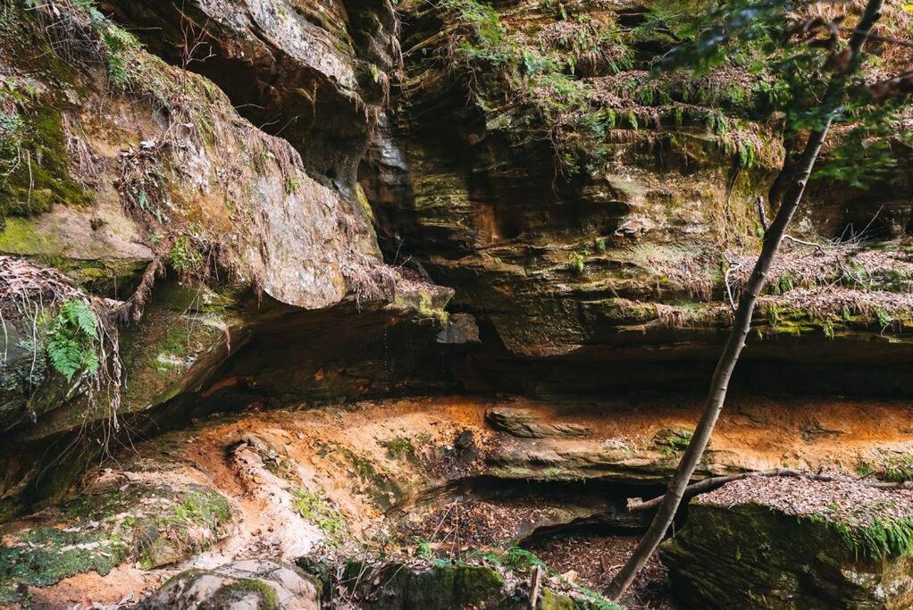 Dunlap Hollow A-Frame Rockbridge Экстерьер фото